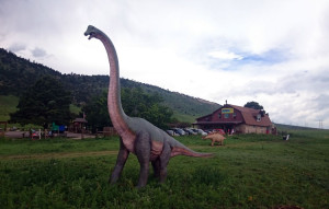 A giant brontosaurus welcomes visitors to the Dinosaur Ridge Visitors Center.